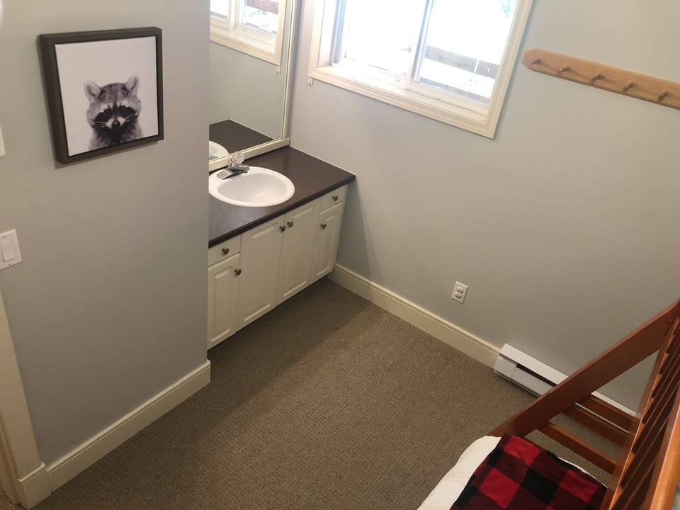 Sink vanity