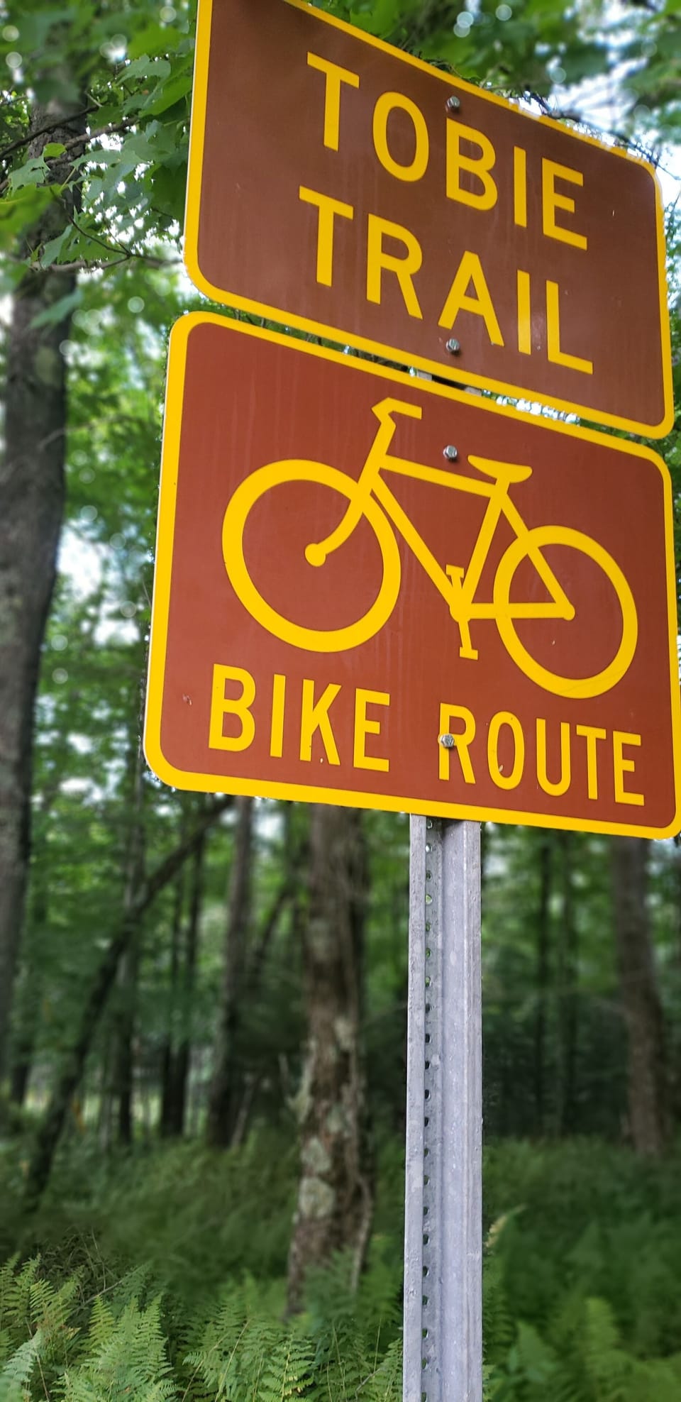 The rental house is on the TOBIE Trail... perfect for biking and snowmobiling.