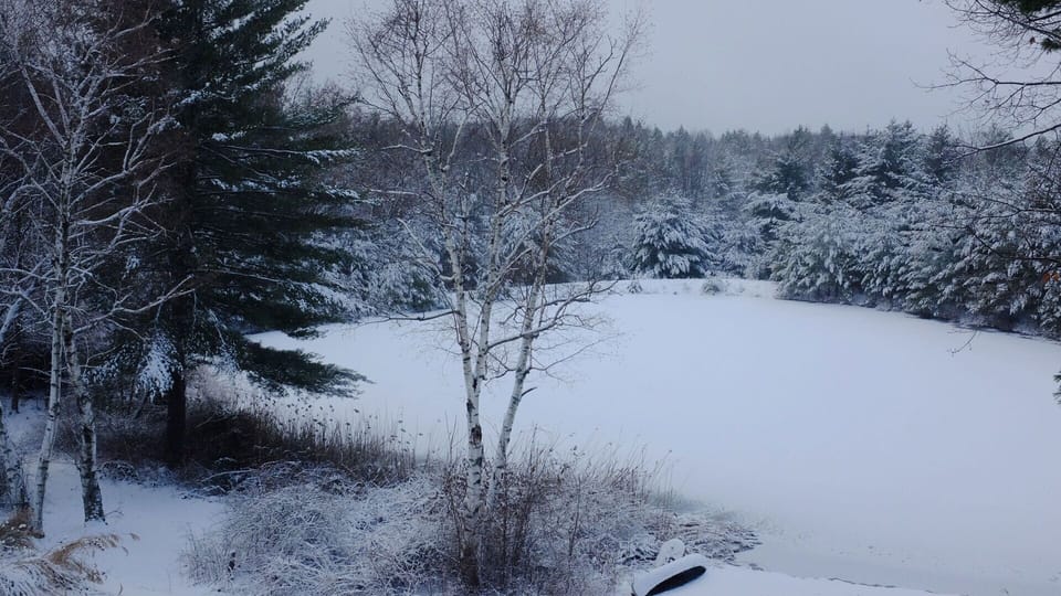 In winter, ski at Butternut, Catamount or just look outside.