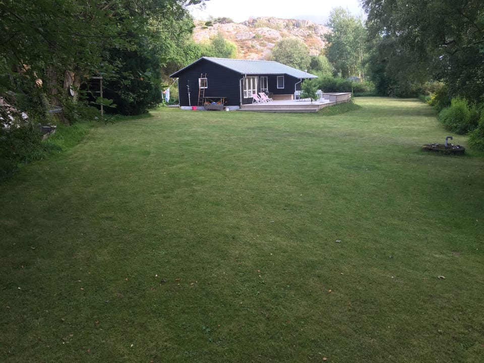 Big garden