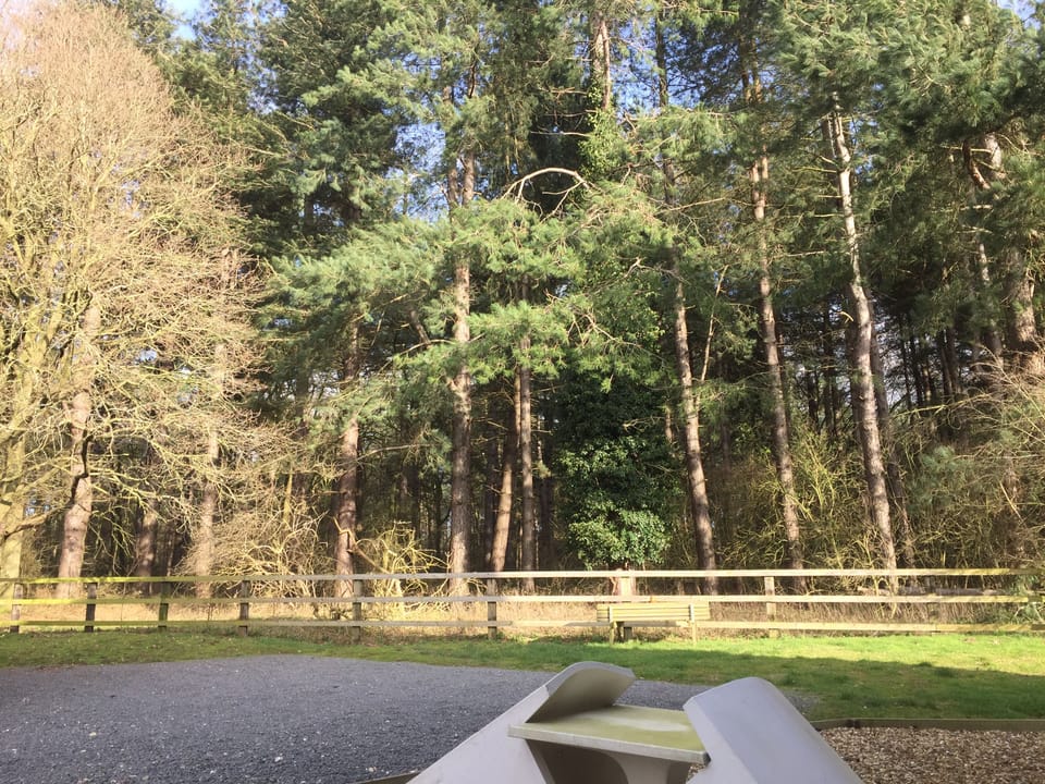 Door step view in to Kings Forest.