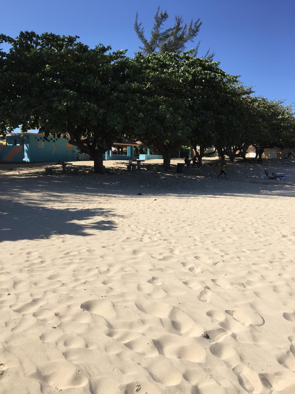 Private beach with beautiful Almond trees
