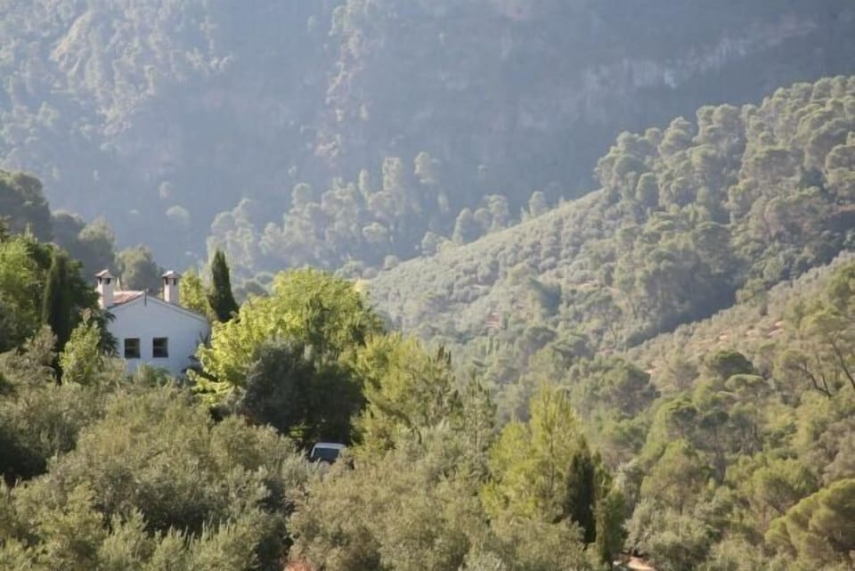 Self catering El Nolo for 14 people Cottage in Andalusia