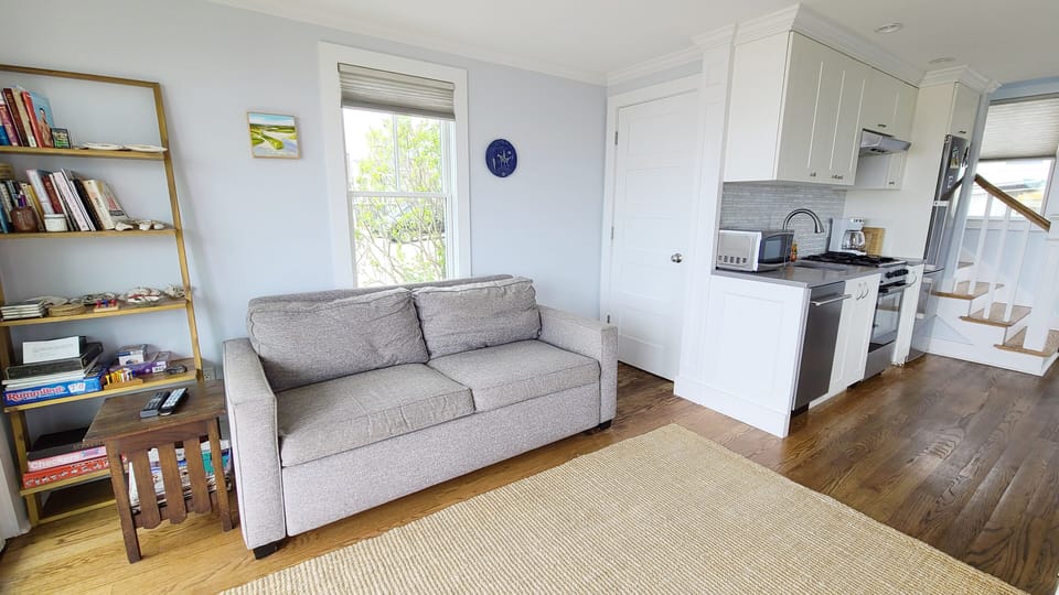 Living room with fold out sofa