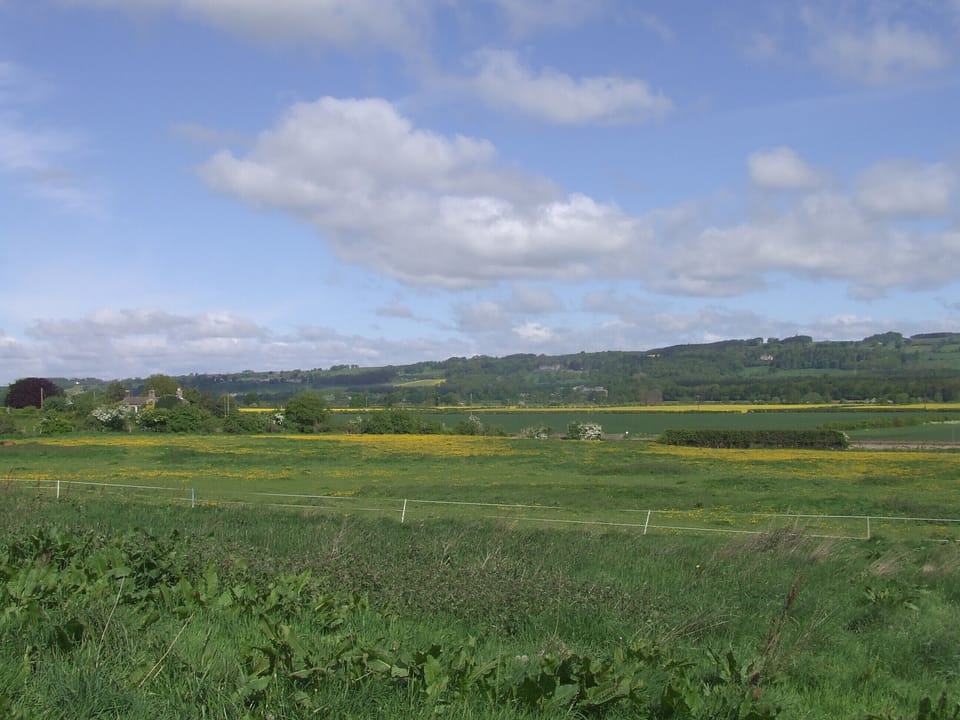 View from Dilston Cottage