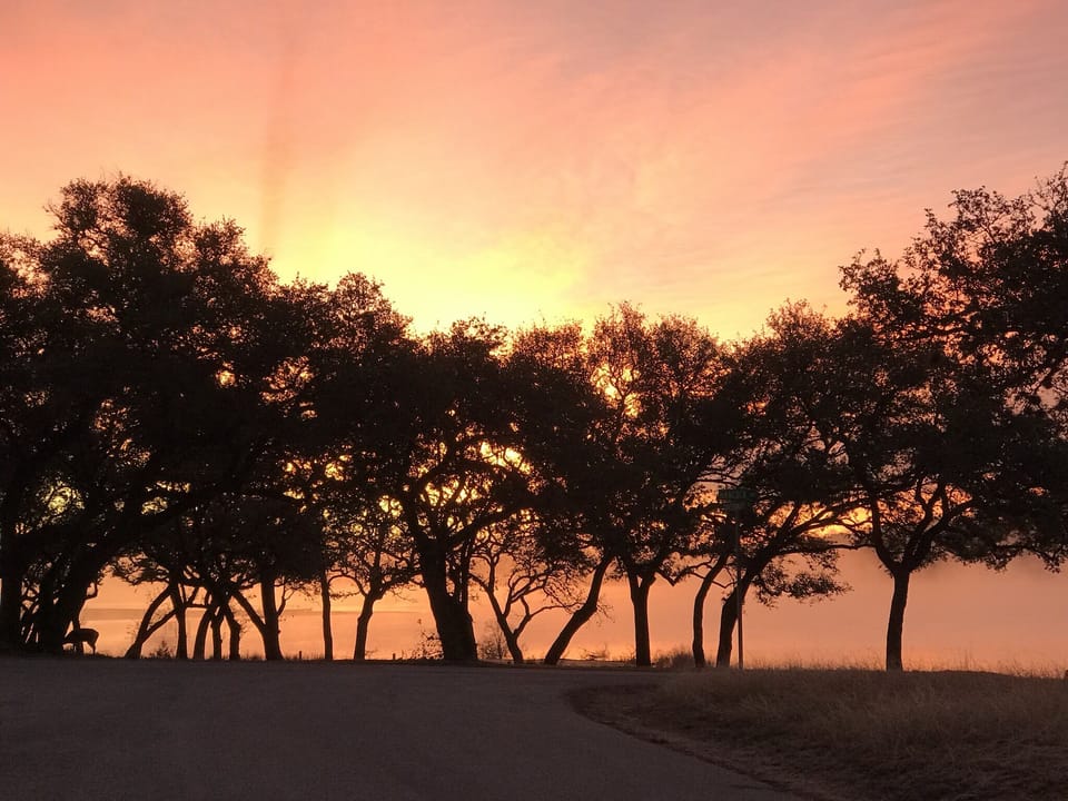 Sunrise from the park