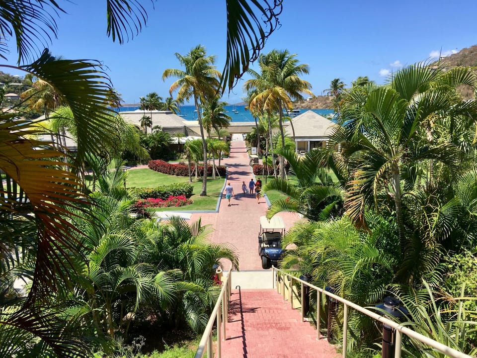 photo taken last spring, March 2019