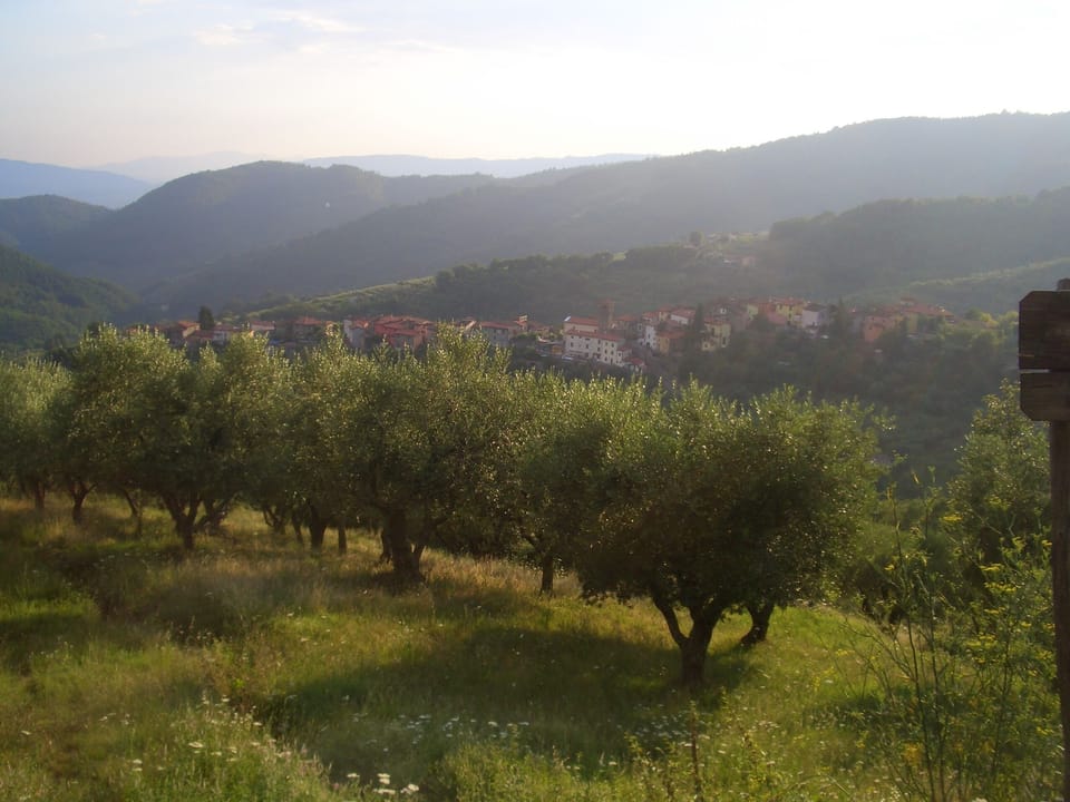 View below village of Baggio