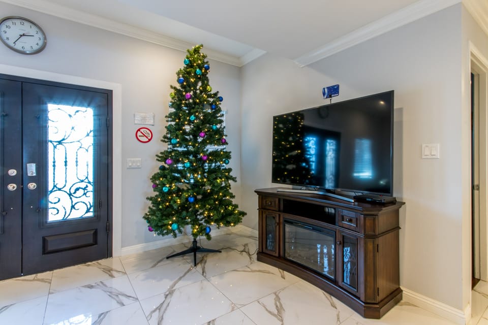 65" Smart TV and fireplace for the living room.