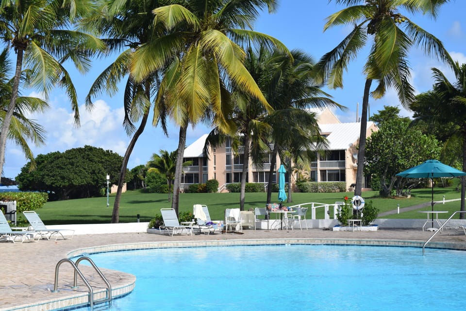 View from pool Condo is where railing is visible, 2nd condo from left on ground 