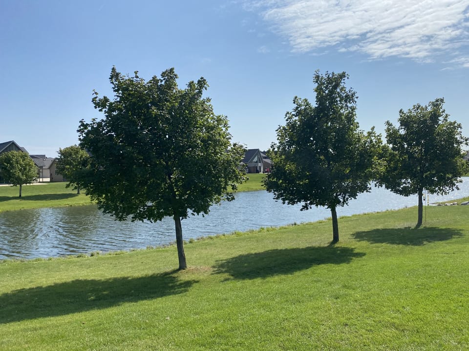 Pond during the day