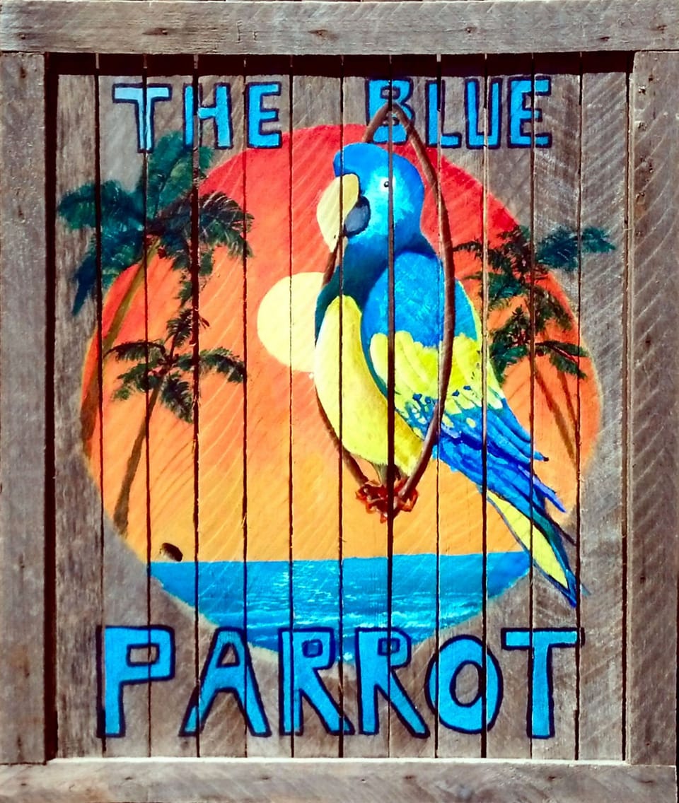 The Blue Parrot Ocean Beach Accommodations