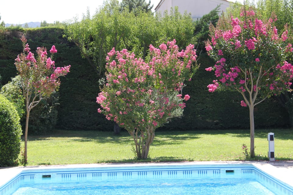 Flower season!