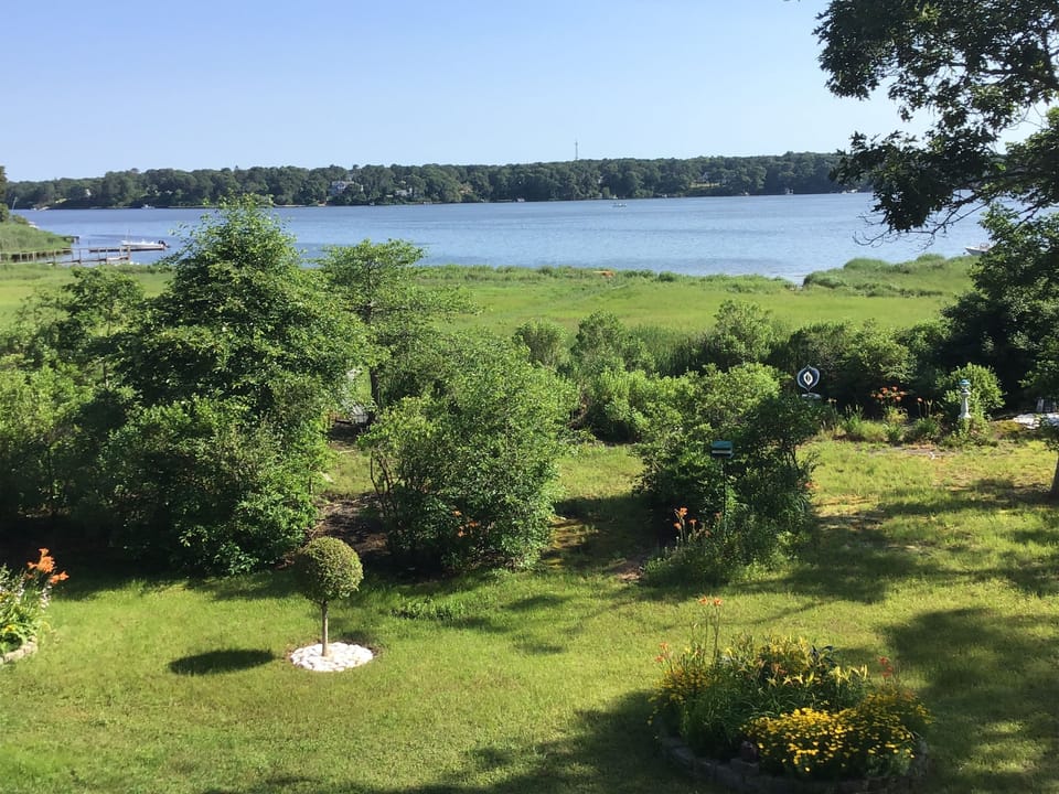 Big backyard for sports and games