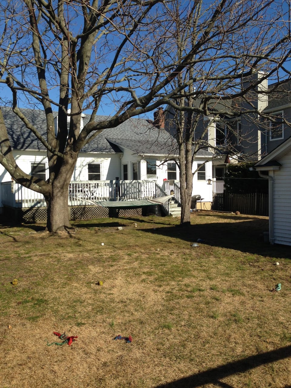 Shaded backyard graced with maple & chestnut trees -- exactly a hammock apart!