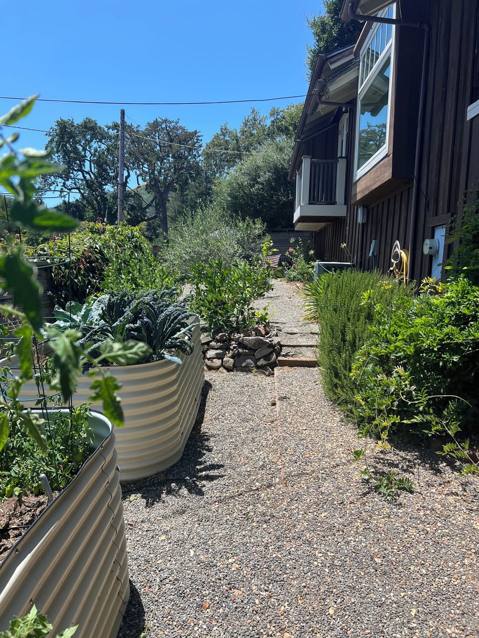 Front Garden
