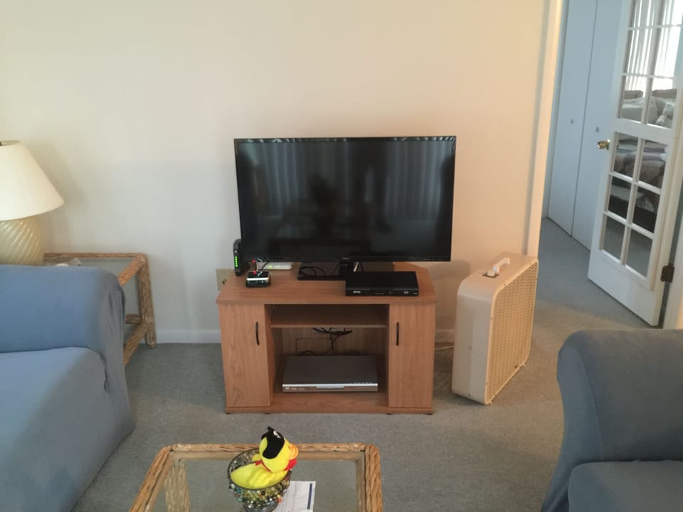 40" LED TV in Living Room