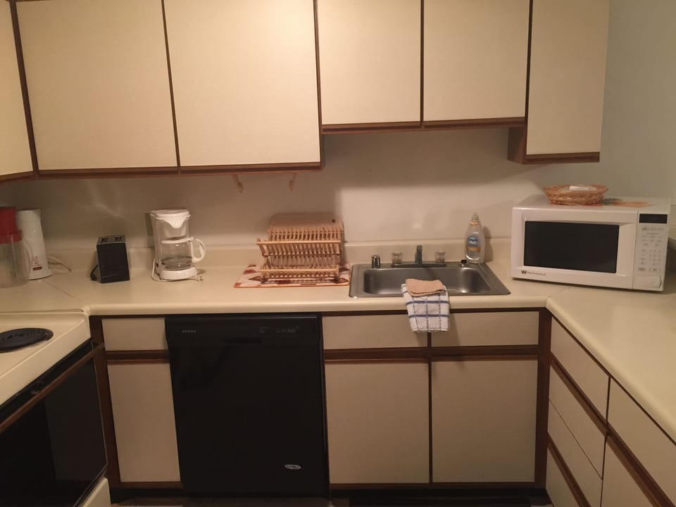 Kitchen equipped with dishwasher