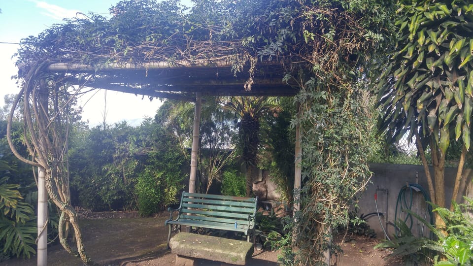 Property garden