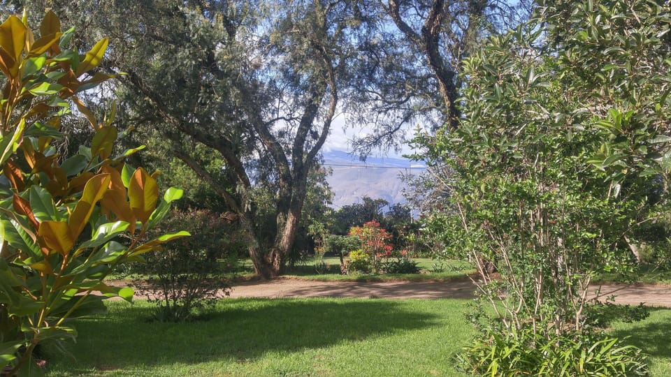 Property garden