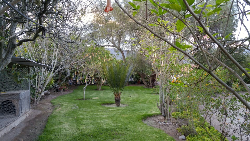 Property garden