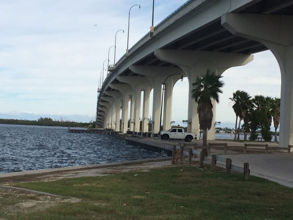 Go Fishing Under The Causeway Bridge