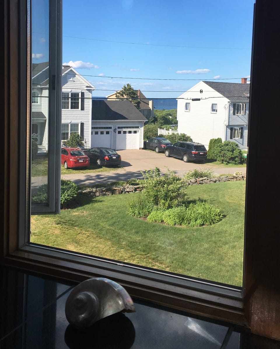 View from the kitchen