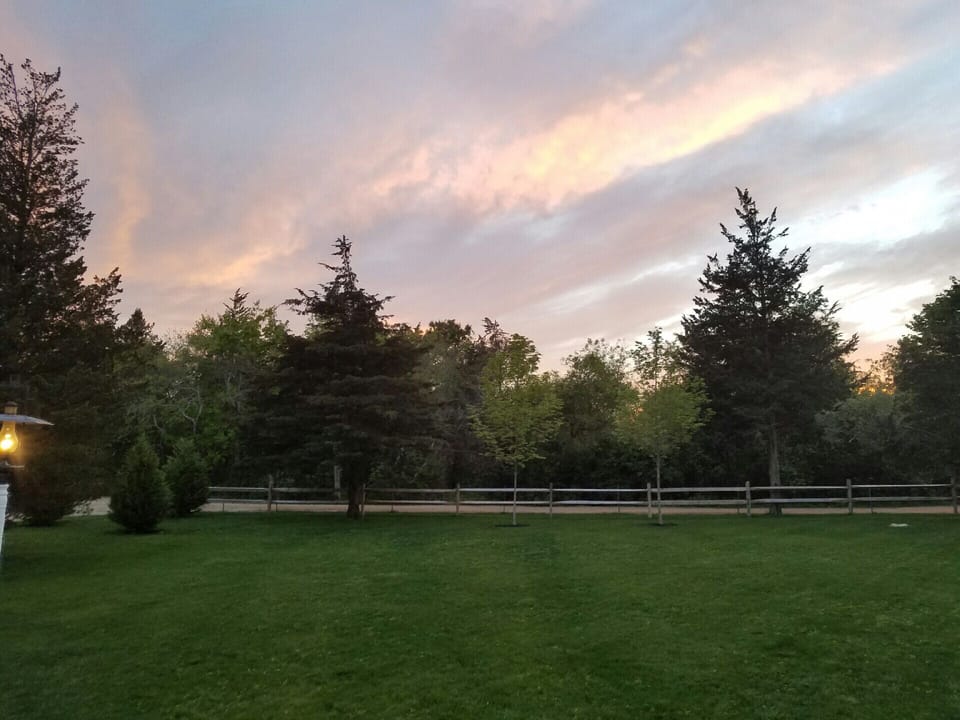 Front Yard at Sunset