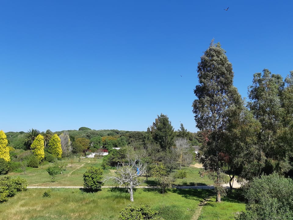 El Sueño finca - view of the top half of the finca & Casitas from the Cortijo 