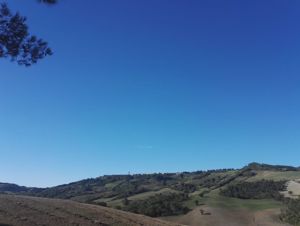 Three-room apartment - Apartment Elia - near Volterra Apartment in Tuscany