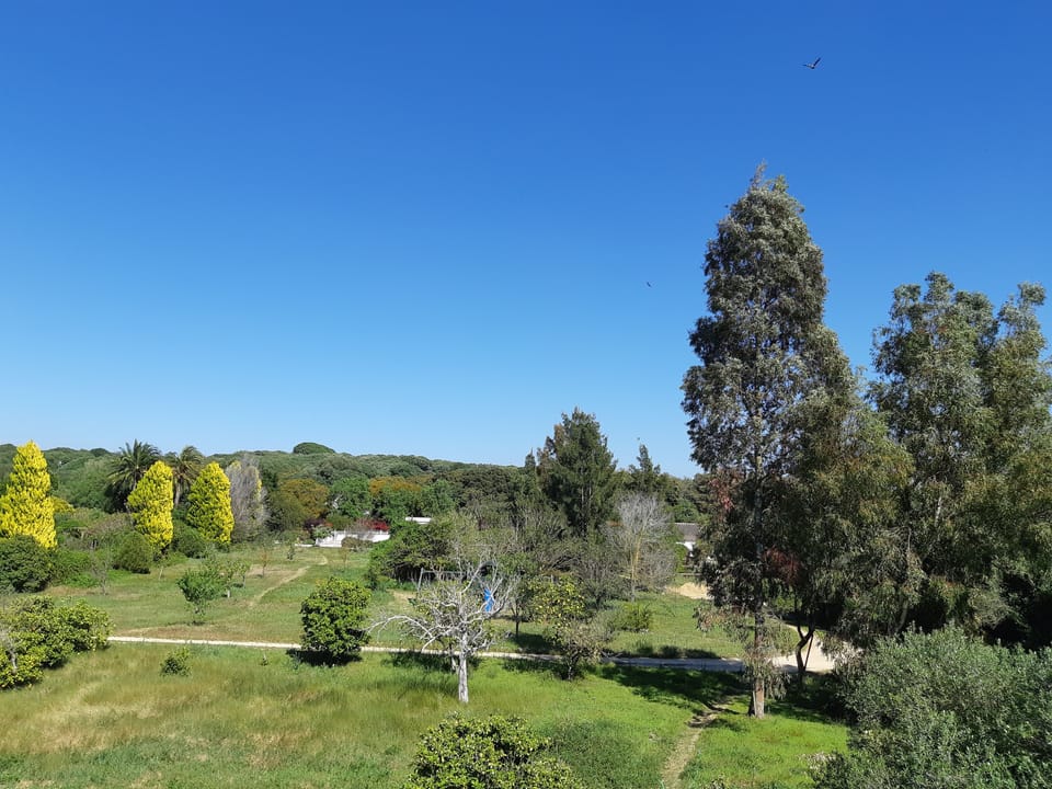 El Sueño Finca (top half) - view of Casitas