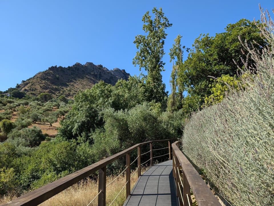 View from property