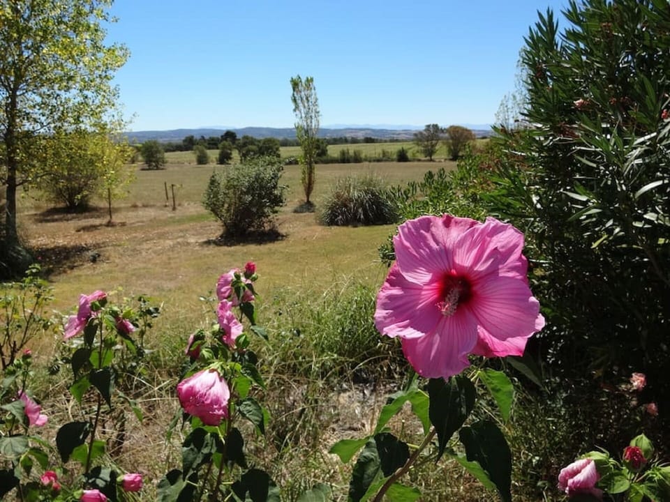 vue campagne
