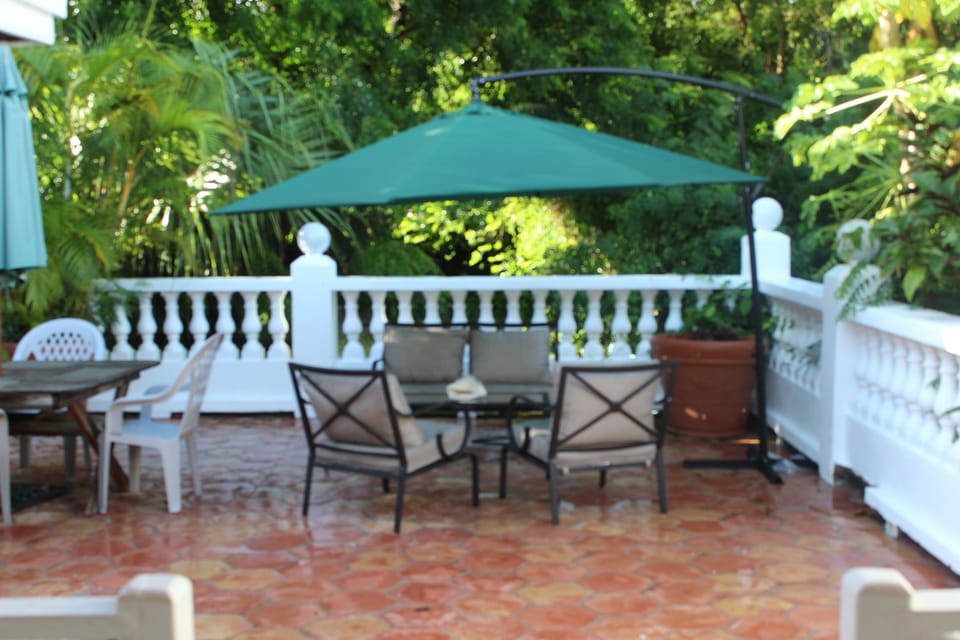 Patio that seats 12 with umbrellas and barbecue pit.
