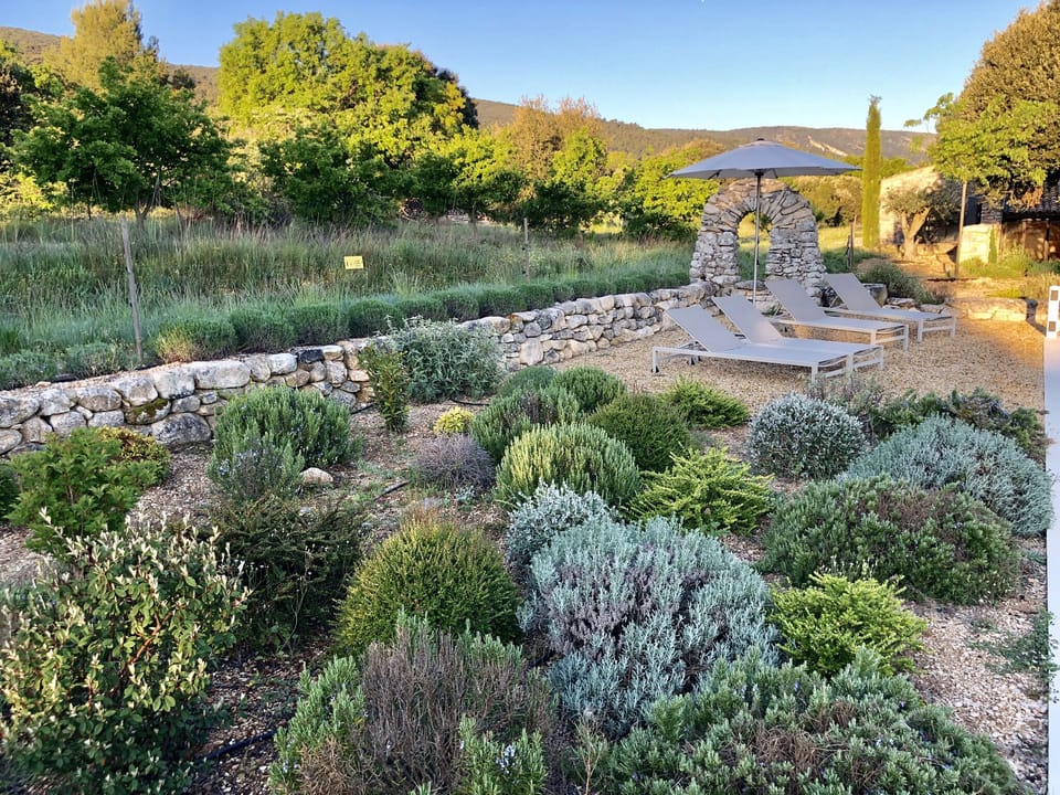 Swimming pool bordered with Provençal garden