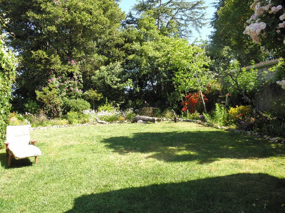 Back yard

