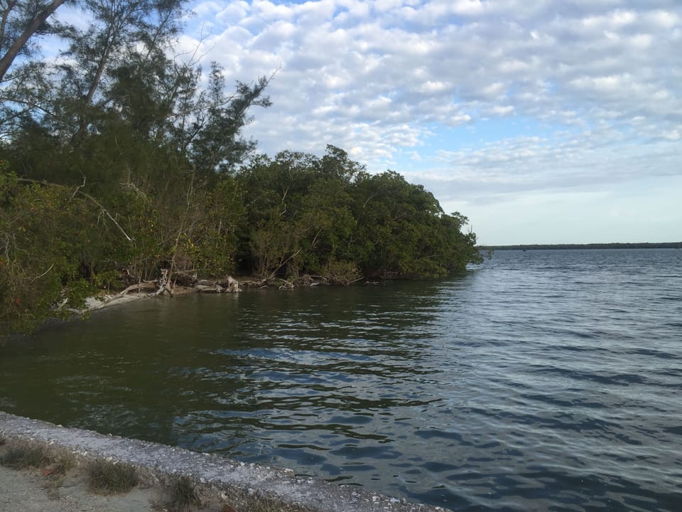 View from chokoloskee bay next to old county seat 