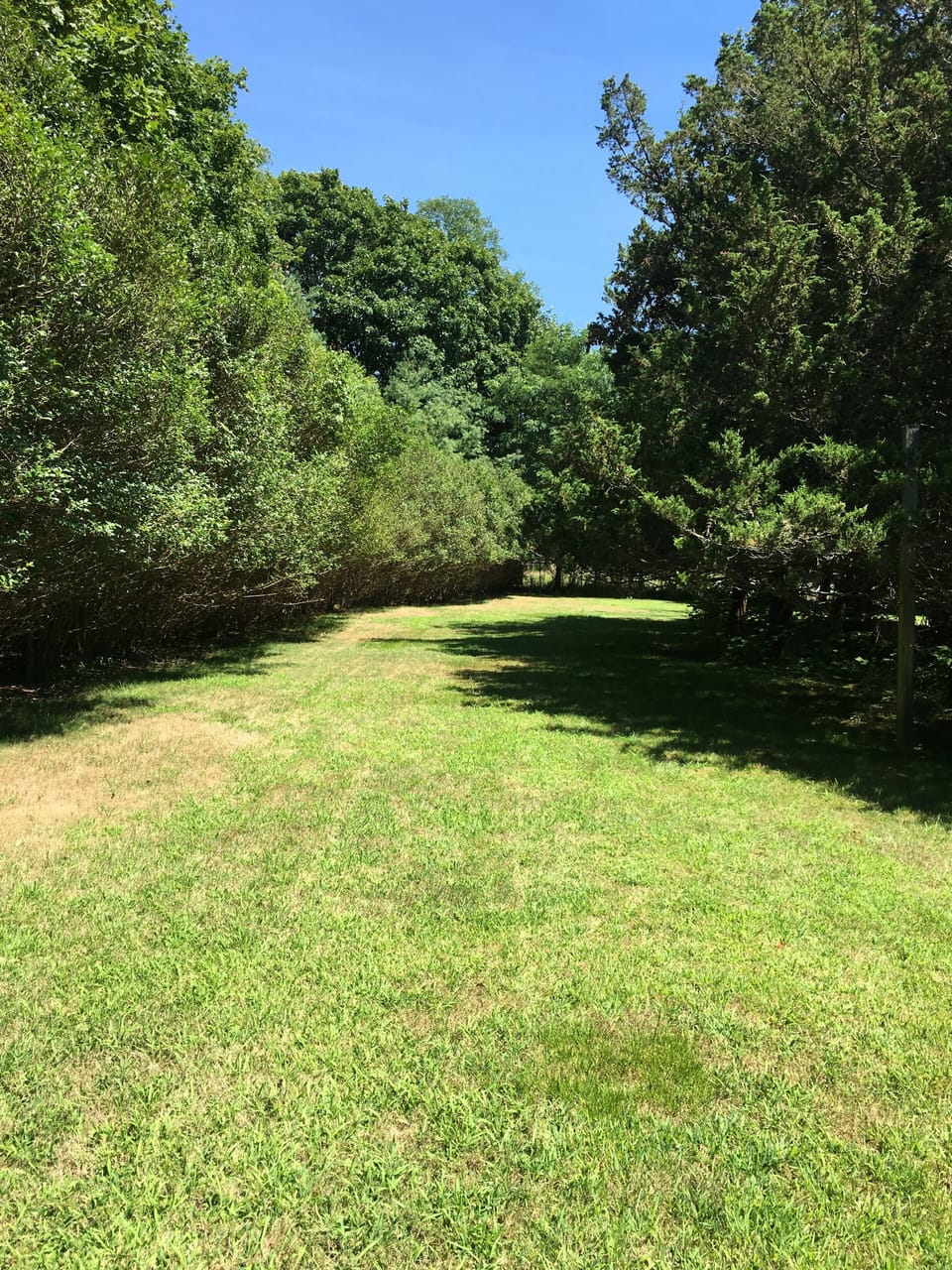 Park-like grounds