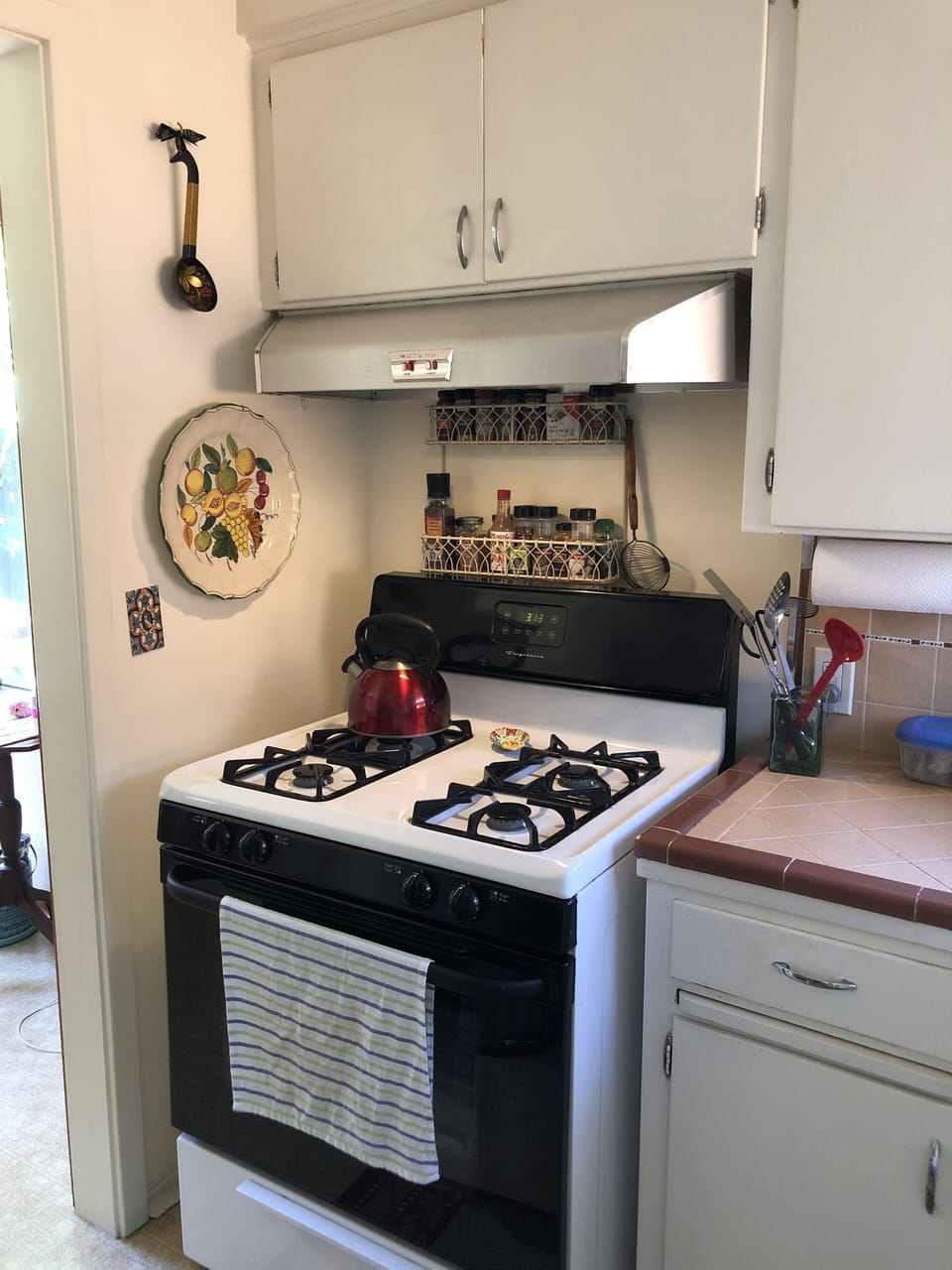 Full sized gas stove and oven, plus an outdoor Weber charcoal barbecue.