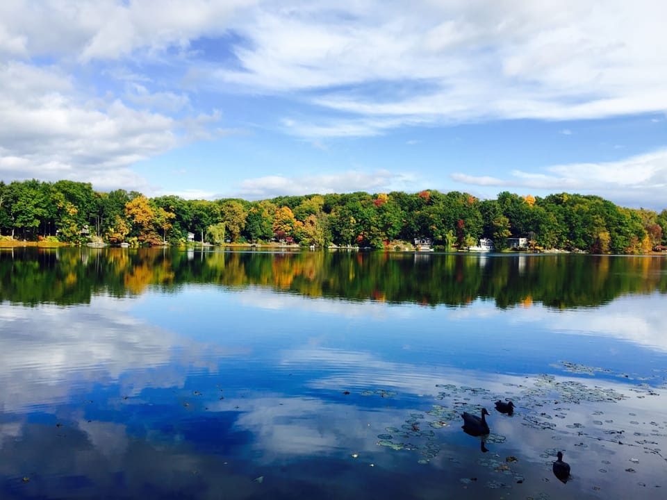 Enjoy the fall colors 