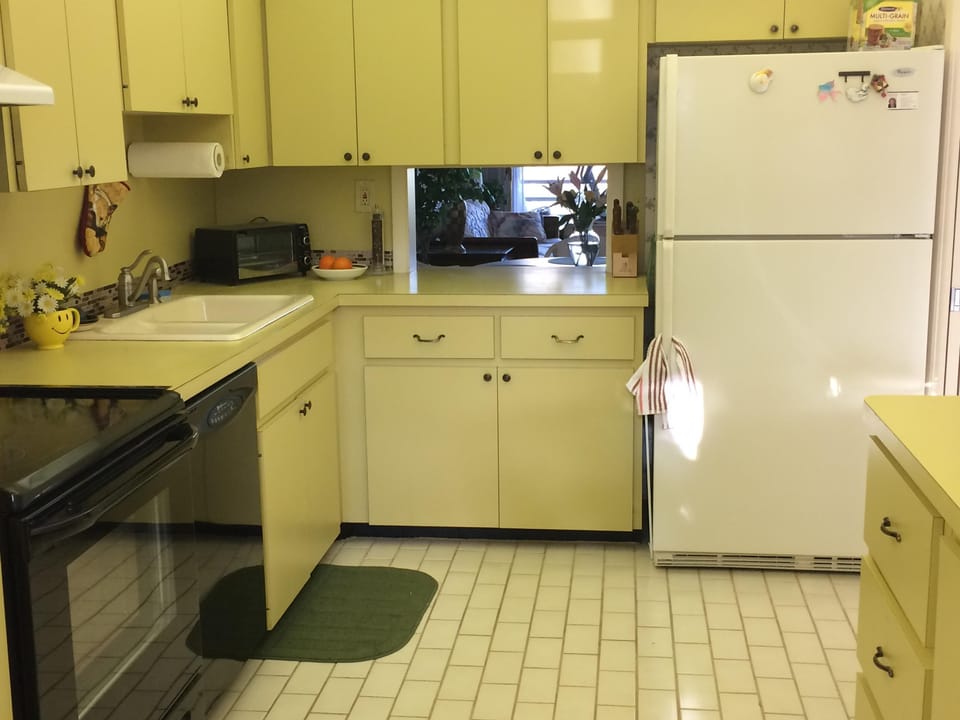 Kitchen  Electric stove, dishwasher, microwave, etc.  