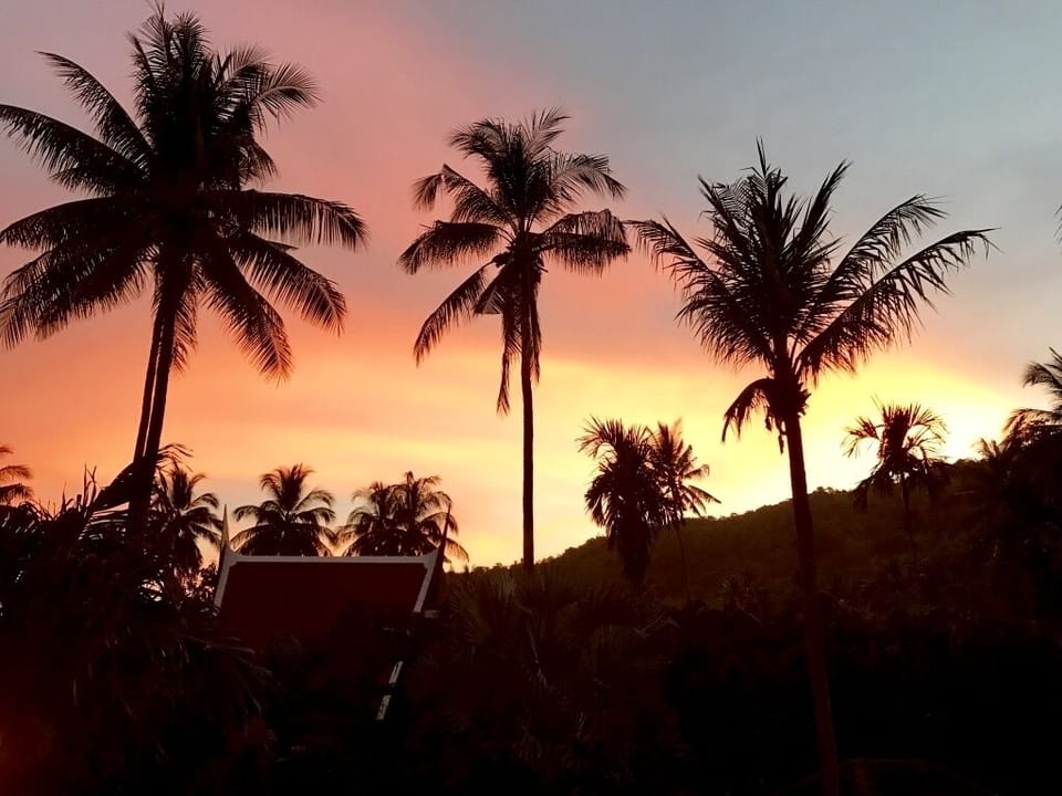Stunning skyline of palm trees and hill ridge silhouetted against the evening sunset