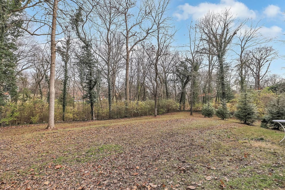 Spacious private back yard! 