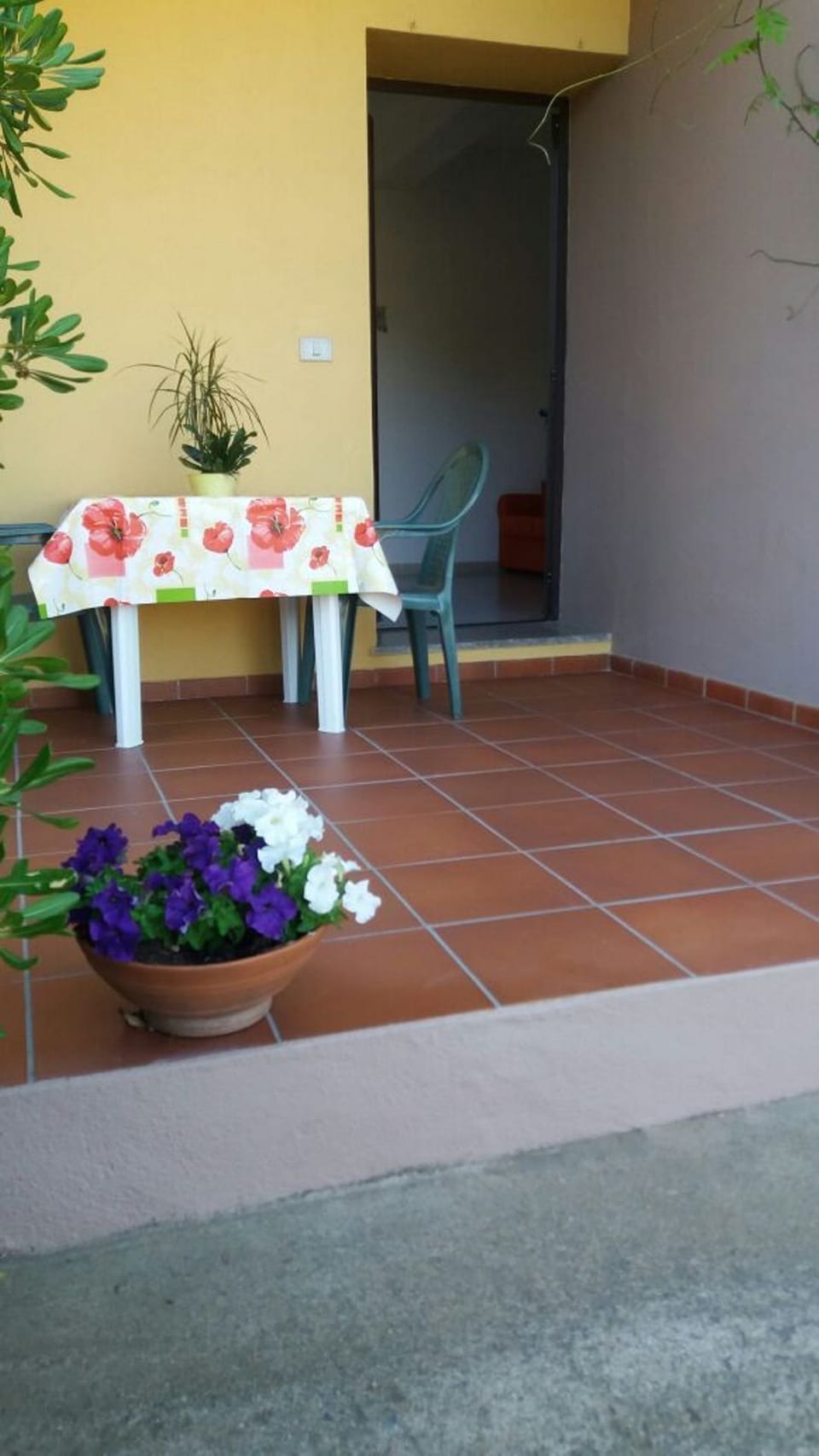 Terrace/patio