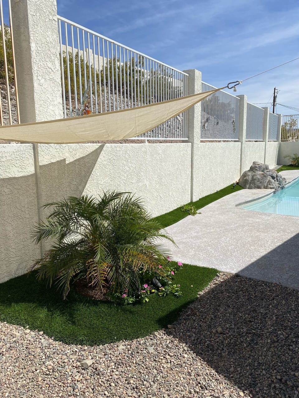 Back yard 