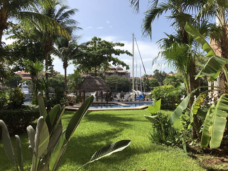 View in front of the terrace  to the pool  and marina.