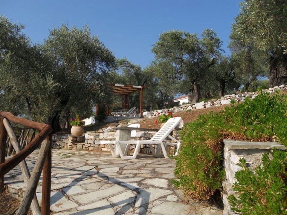 Outdoor space in the garden just in front of the sea