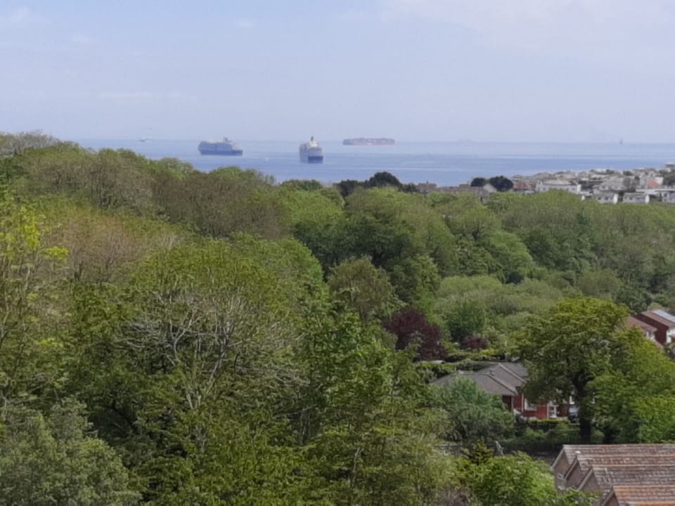 Cruise liners currently in the bay.