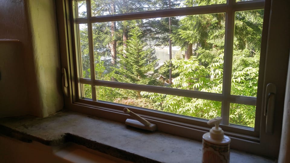 View from bathtub.