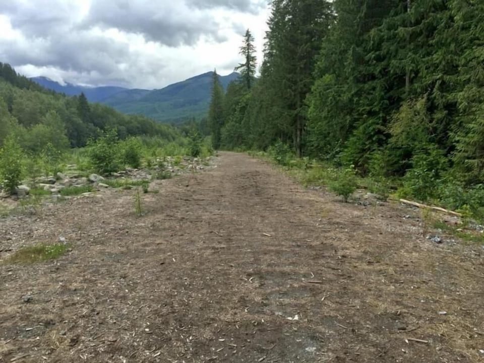 Path to Canyon Creek